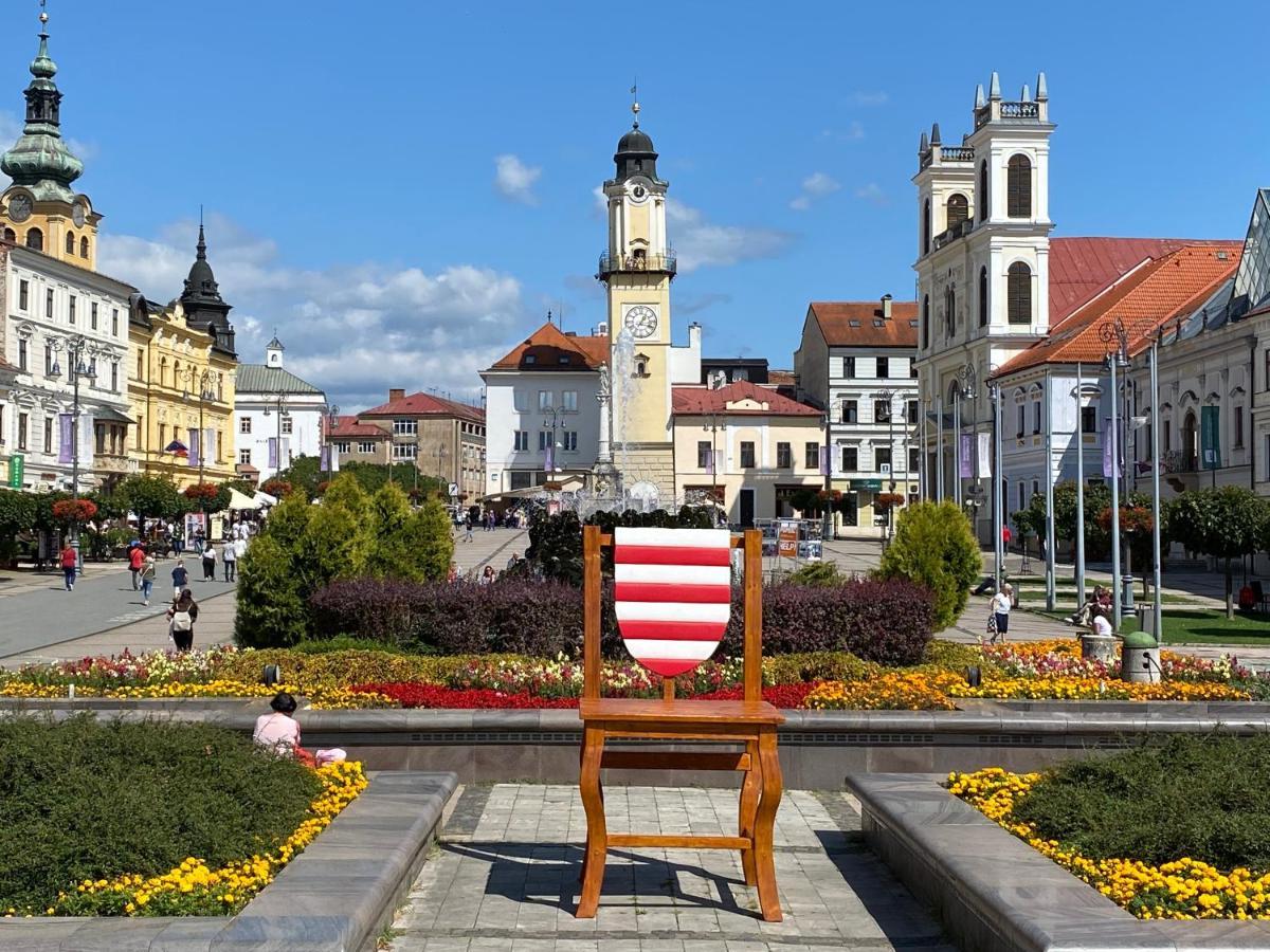 Komfortny Apartman So Zahradou A Sukromnym Parkoviskom-Nonstop Check-In Banska Bystrica Exterior photo